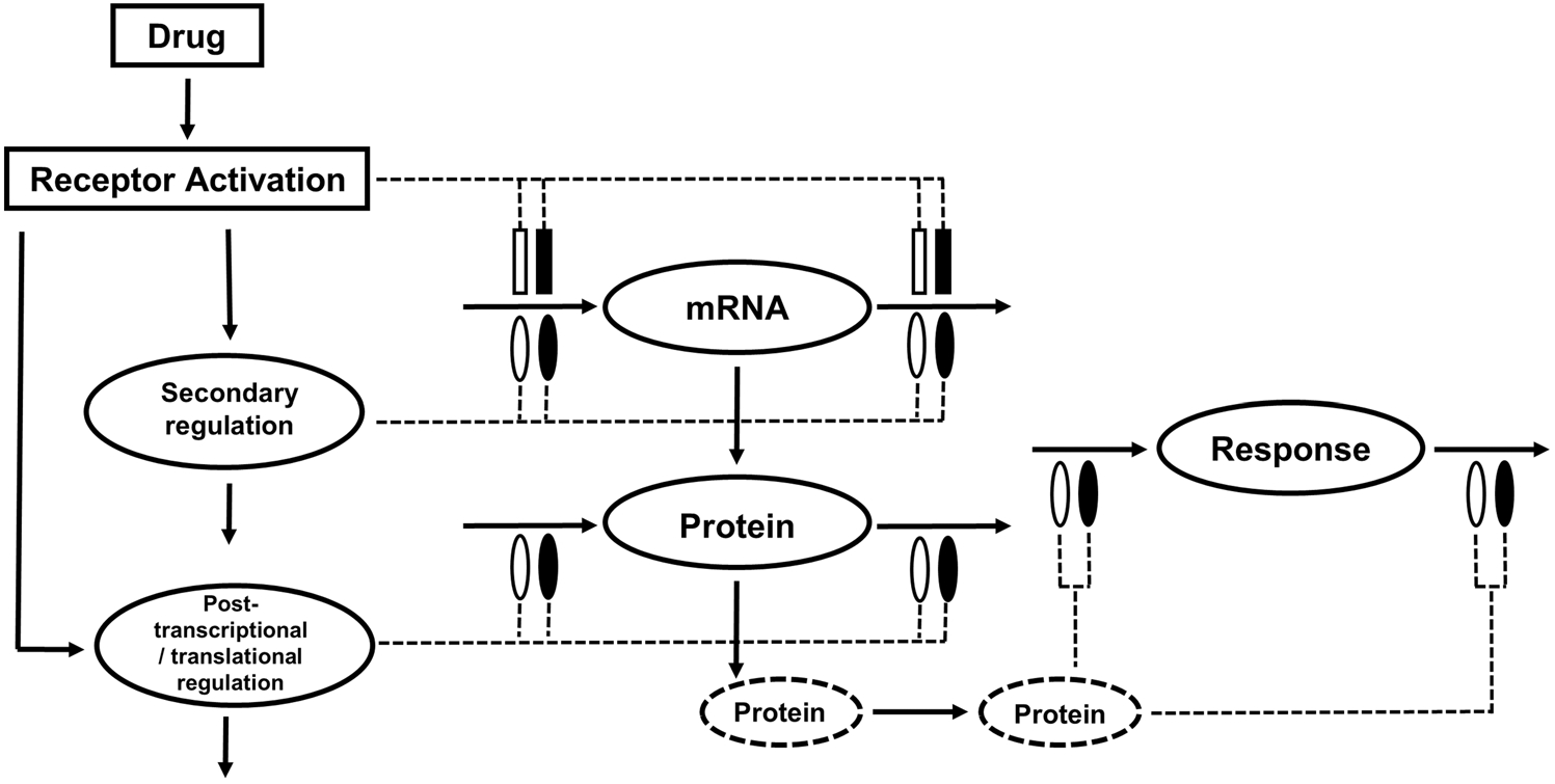 Fig. 8