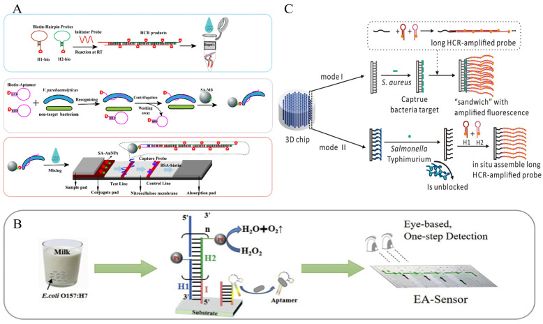 Figure 10