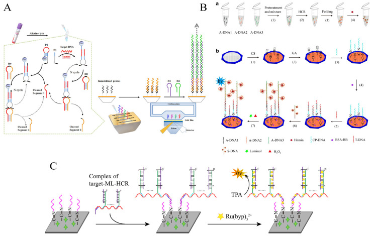 Figure 11