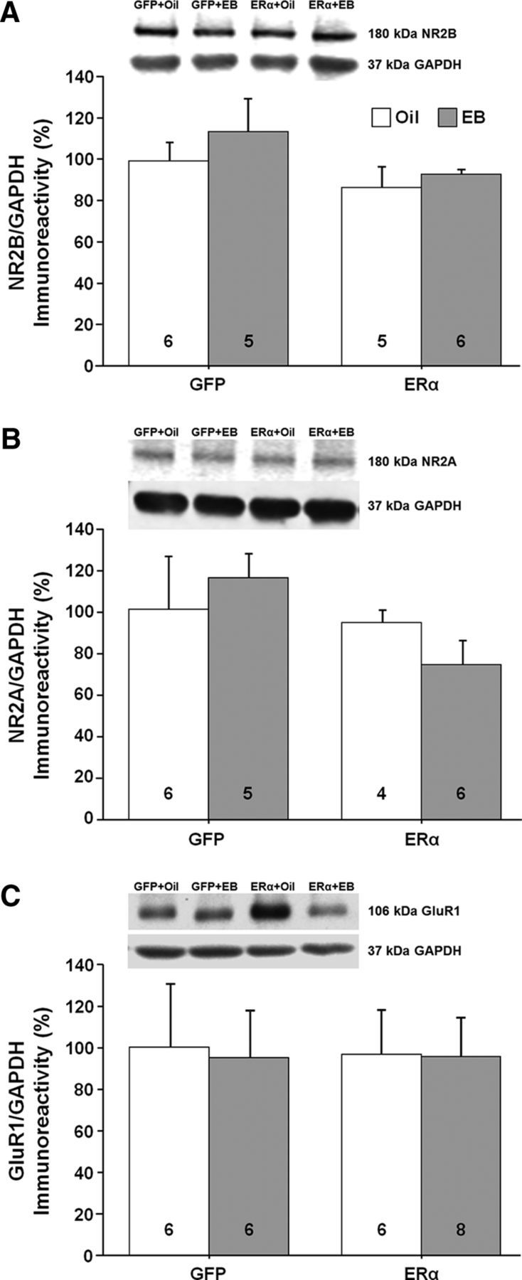 Figure 11.