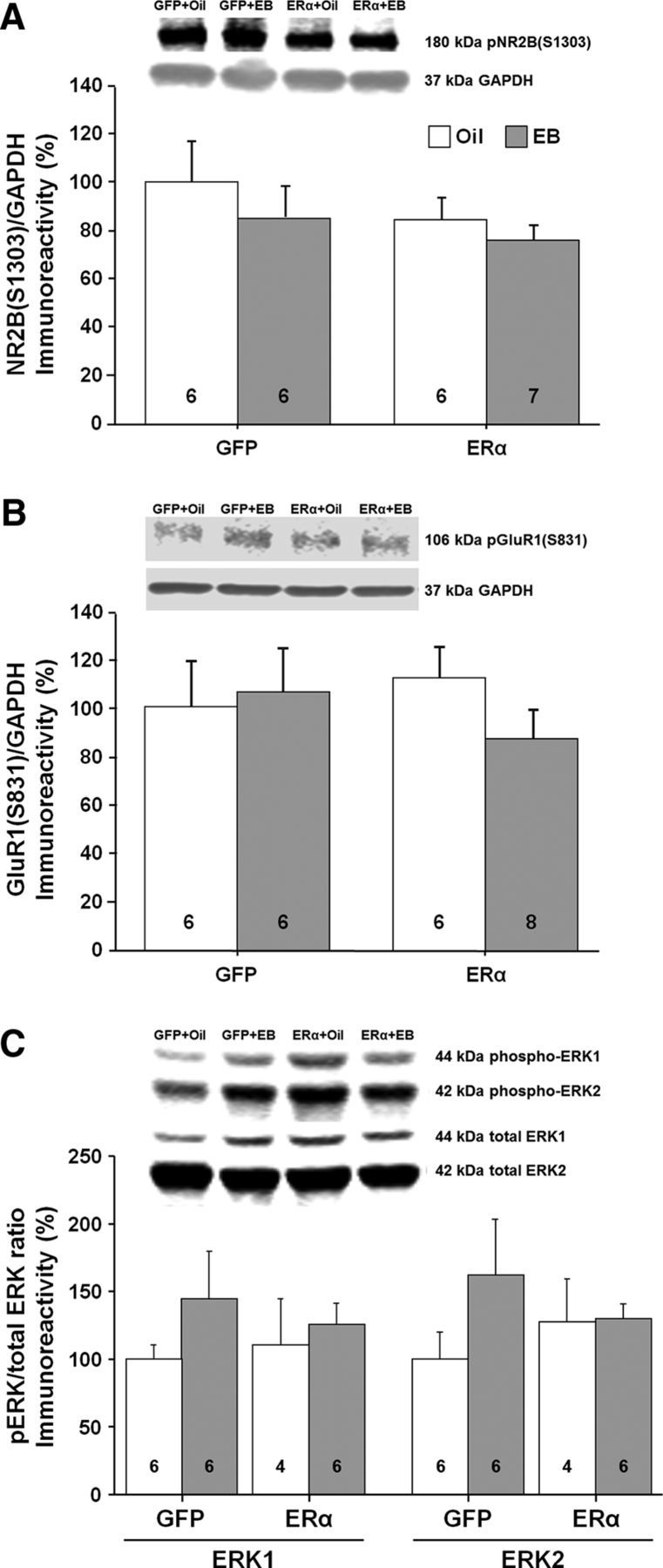 Figure 12.