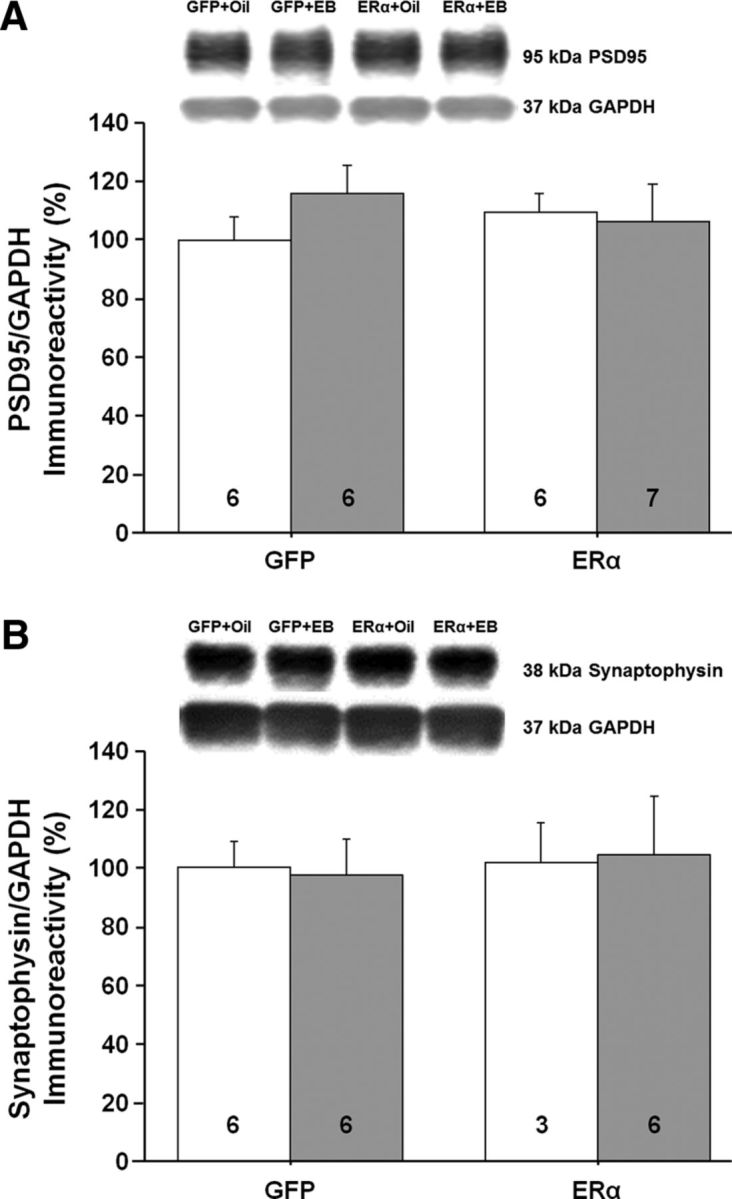 Figure 10.