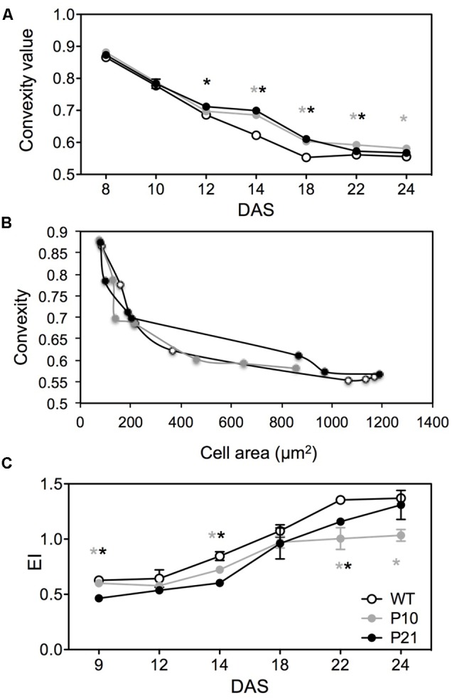 FIGURE 6