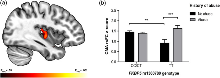 FIGURE 1