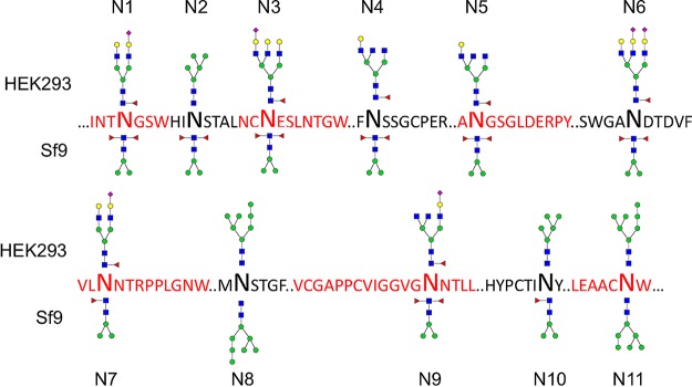 FIG 3