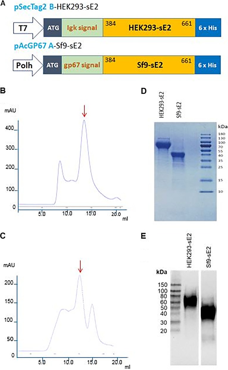 FIG 1