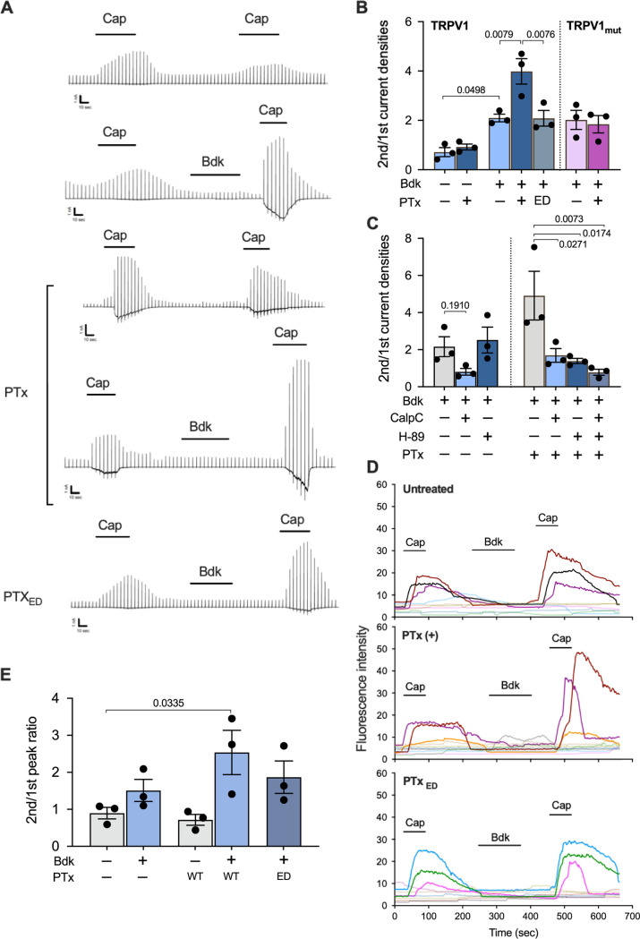 FIG 6