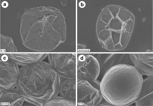 Fig. 7