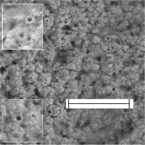 Fig. 15