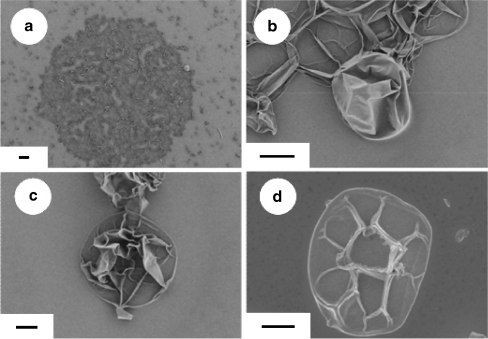 Fig. 3