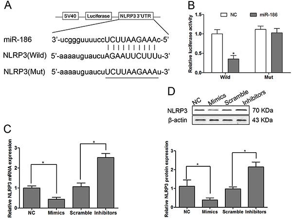 Figure 6.