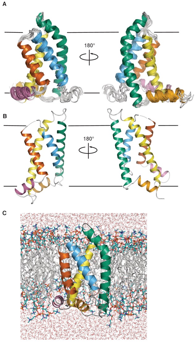 Figure 2.