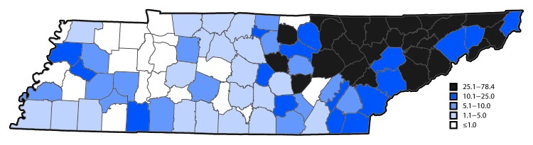 The above figure is a map of Tennessee, showing the rate of hepatitis C infection among pregnant women per 1,000 live births, by county in 2014.