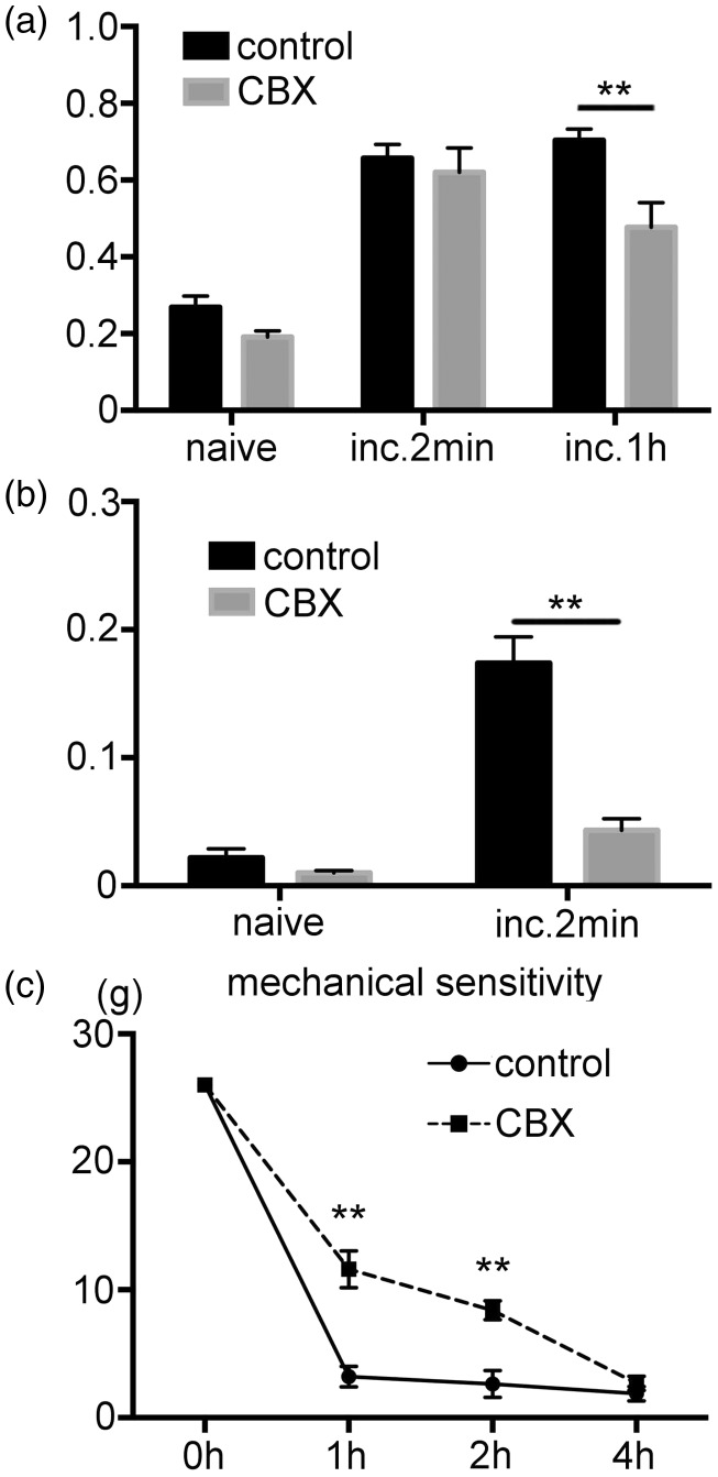 Figure 5.