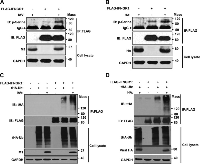 FIG 4