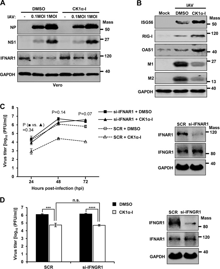 FIG 9