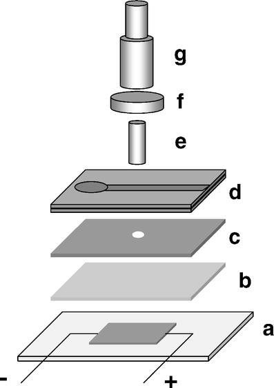 Fig. 6