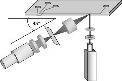 Fig. 4