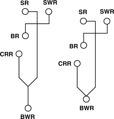 Fig. 7