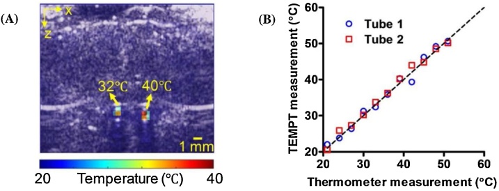 Fig. 10