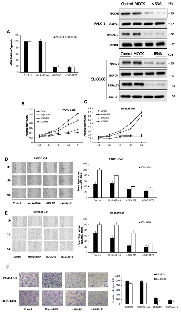 Figure 4: