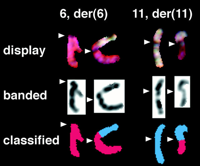 Figure 11.