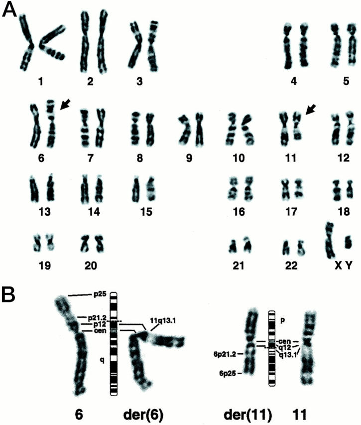 Figure 10.