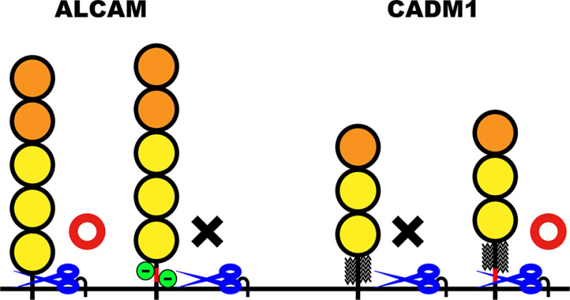 Figure 8.