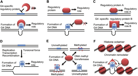 Figure 7.