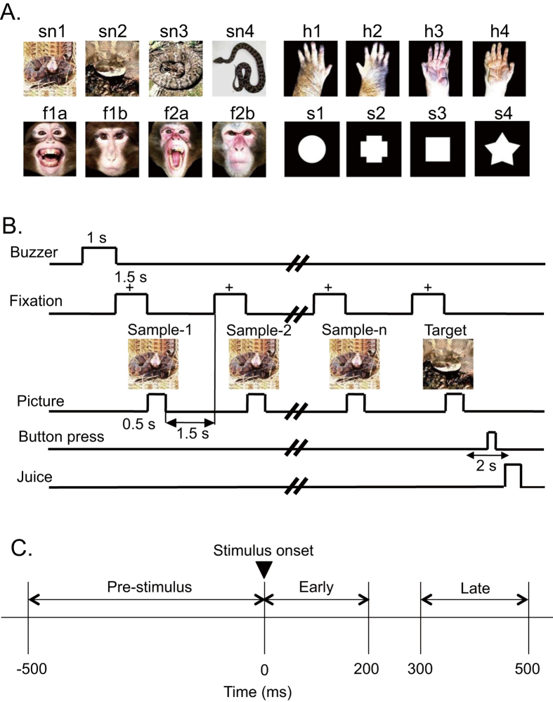 Figure 5