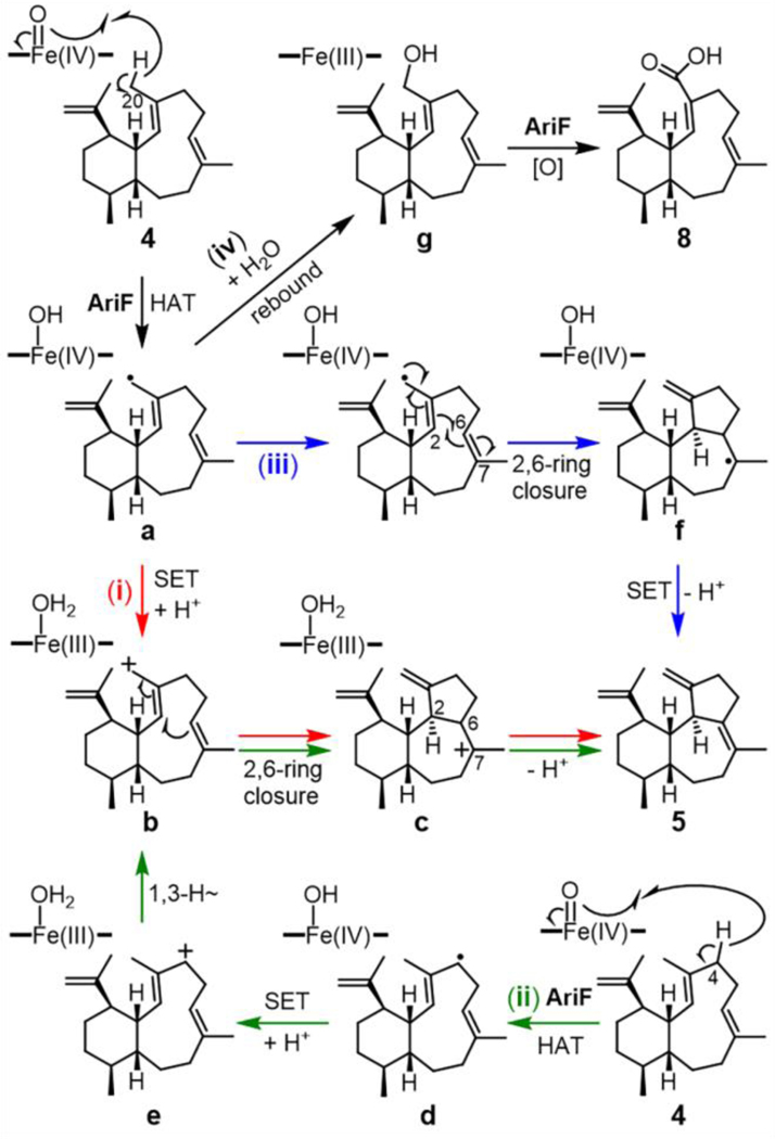 Figure 4: