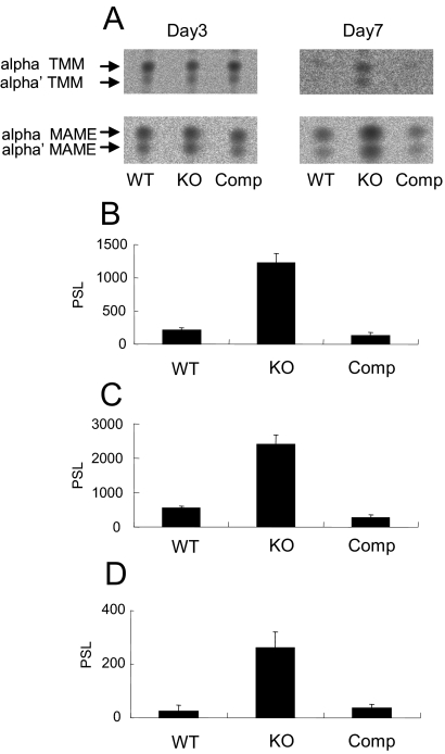 FIG. 6.