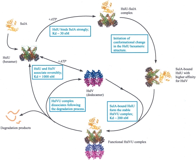 Figure 2.