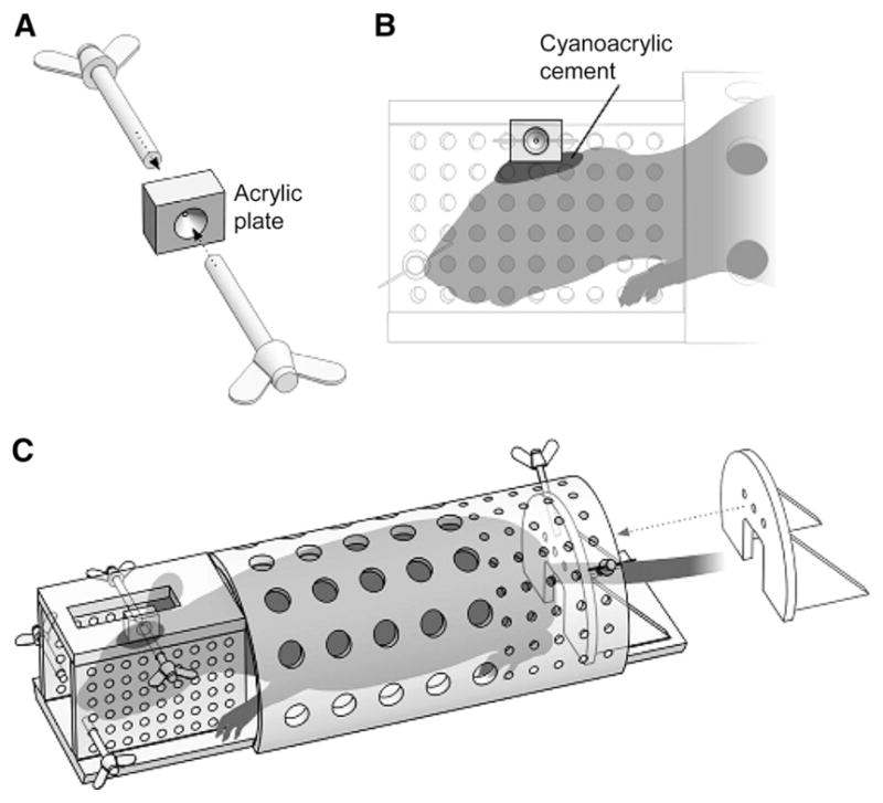 FIGURE 1