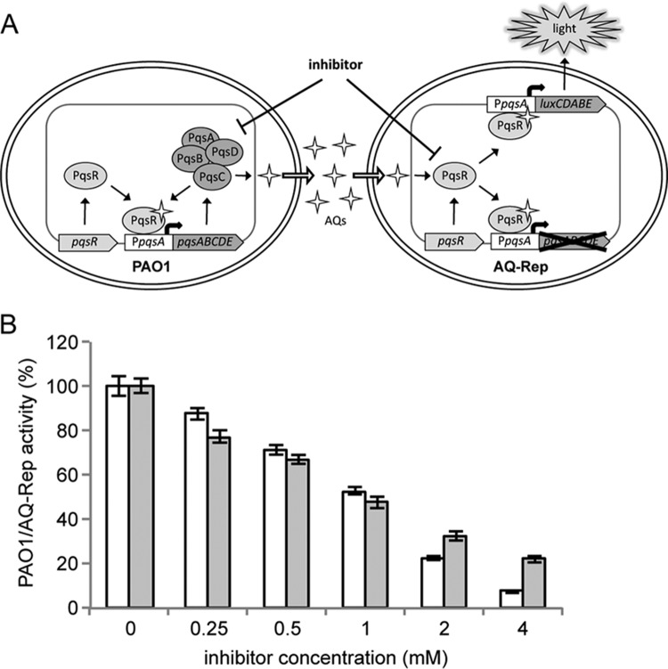 FIG 1