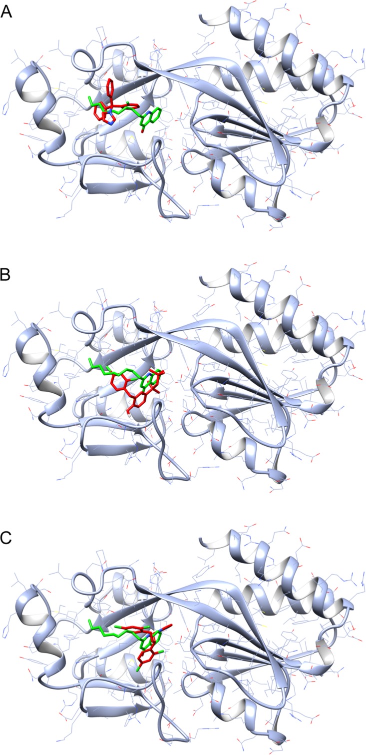 FIG 5