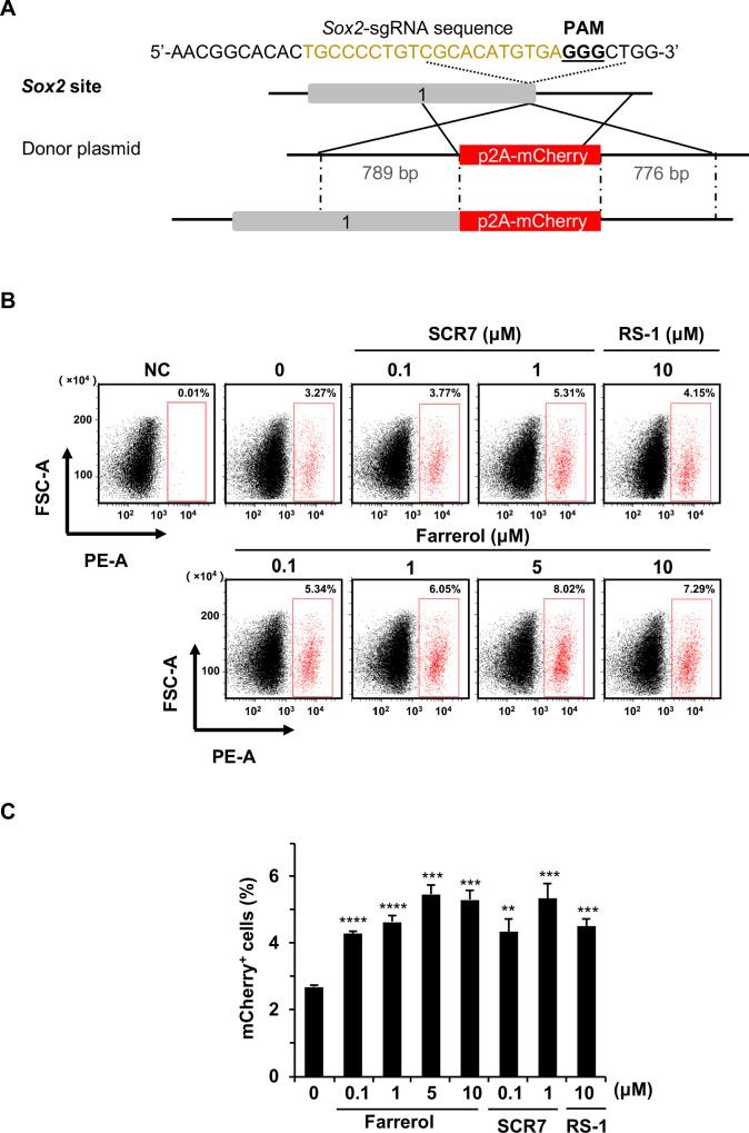 Figure 3—figure supplement 2.