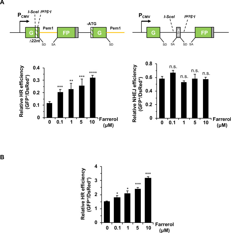 Figure 1—figure supplement 1.