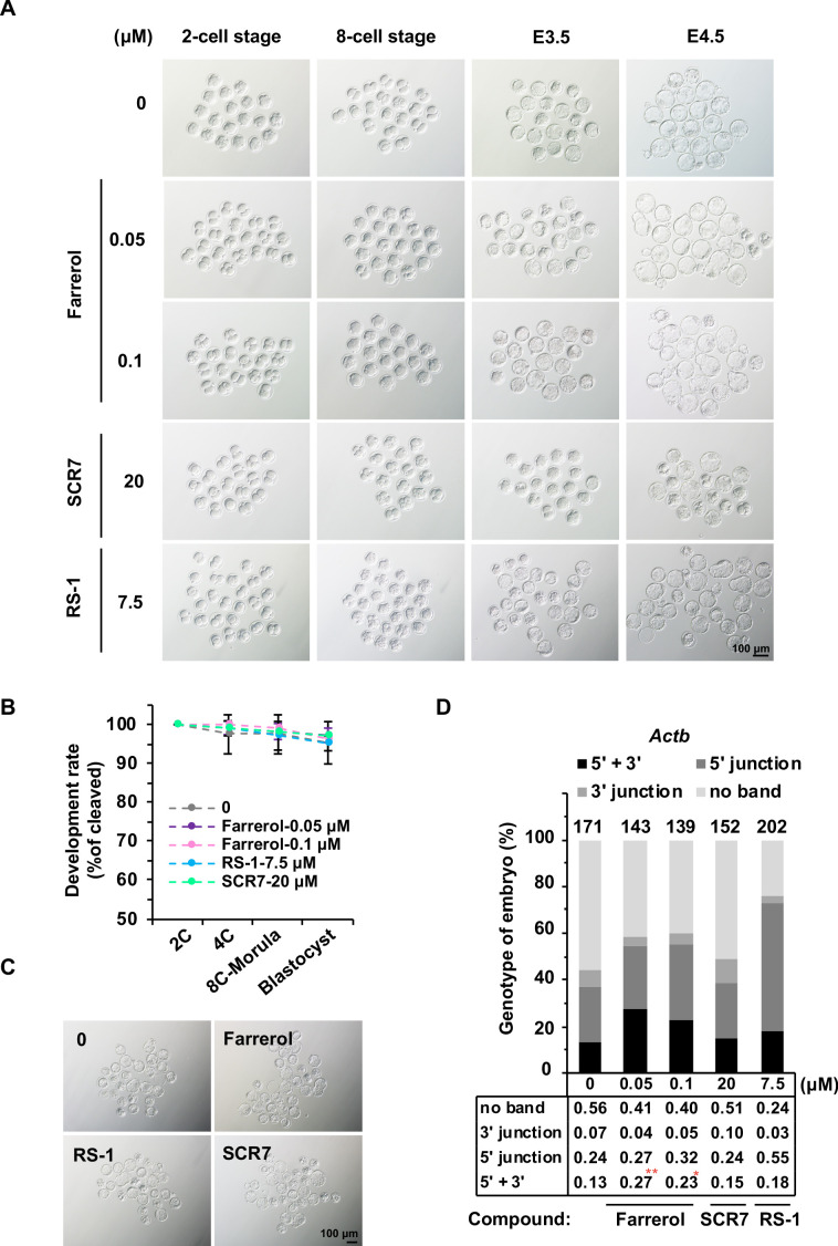 Figure 5—figure supplement 1.