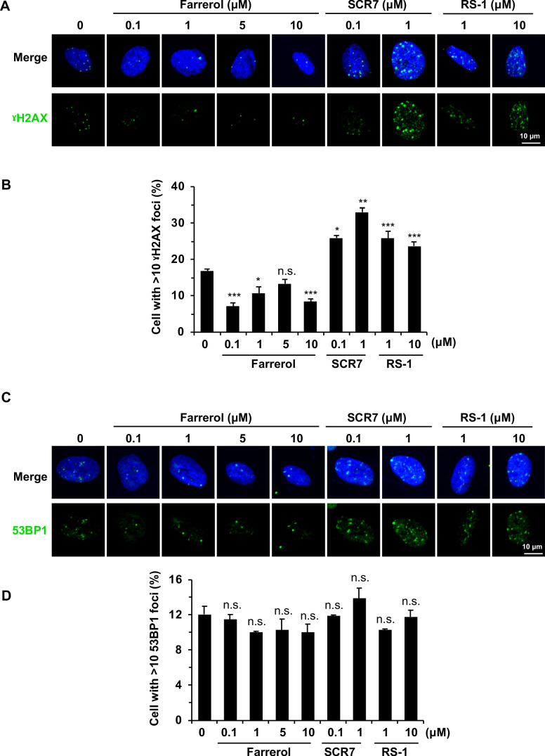 Figure 4—figure supplement 1.