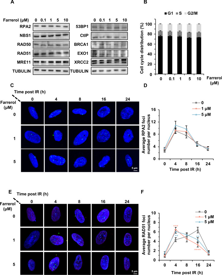 Figure 1—figure supplement 2.