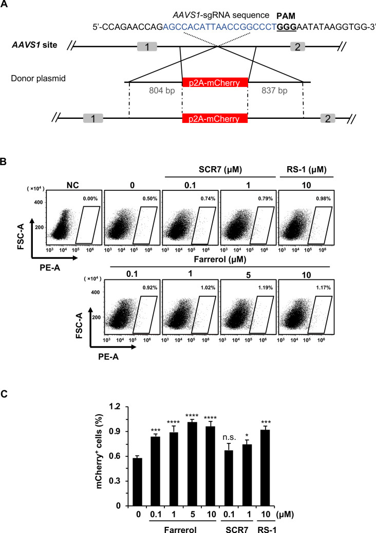 Figure 2—figure supplement 1.