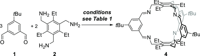 Scheme 2