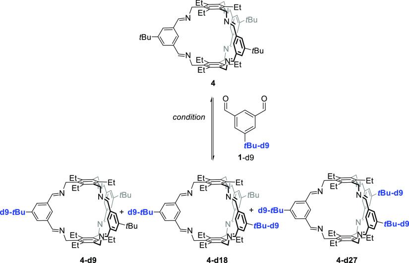 Scheme 6