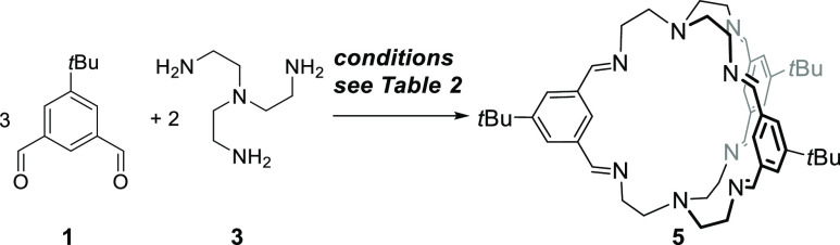 Scheme 3