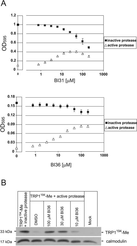 FIG. 5.