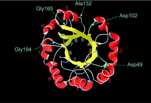 FIG. 1.