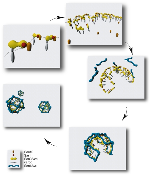 Fig. 3