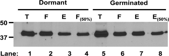 Fig 8