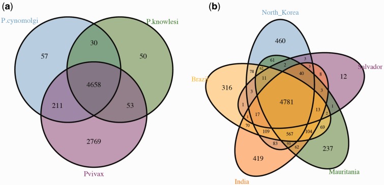 Fig. 1.—